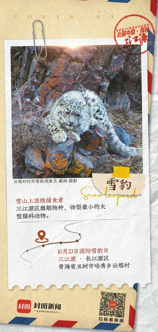 请查收，来自三江源神奇动物的明信片