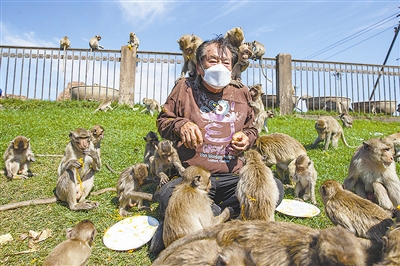 泰国：猴子享用自助餐