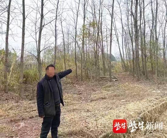 嫌疑人指认砍树现场。图片来源：紫牛新闻 ?