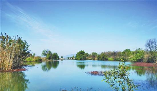 芜湖市有了首个省级湿地公园 去南陵奎湖省级湿地公园亲近自然