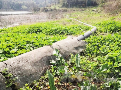  江油市双河镇： 主水管进村4年不入户村民用水难何时解决？