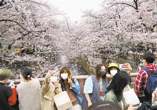 日本：赏樱正当时