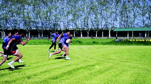备战省运会,“橄”打“橄”拼 市橄榄球运动员训练正酣